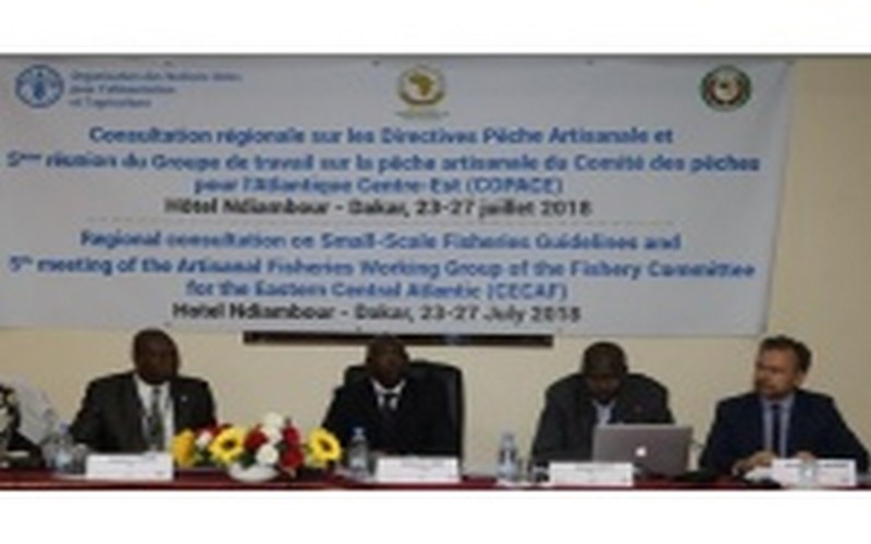 Afrique de l’Ouest et du Centre : les acteurs de la pêche en conclave au Sénégal
