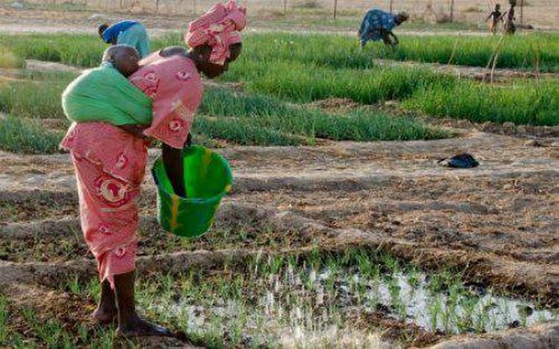 Un accord entre le Mali et le FIDA pour accompagner les petits producteurs
