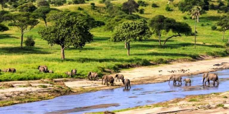 Pour booster son tourisme, la Tanzanie va créer 5 nouveaux parcs dans le sud du pays