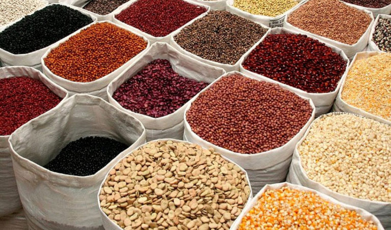 La FAO au chevet de la République centrafricaine