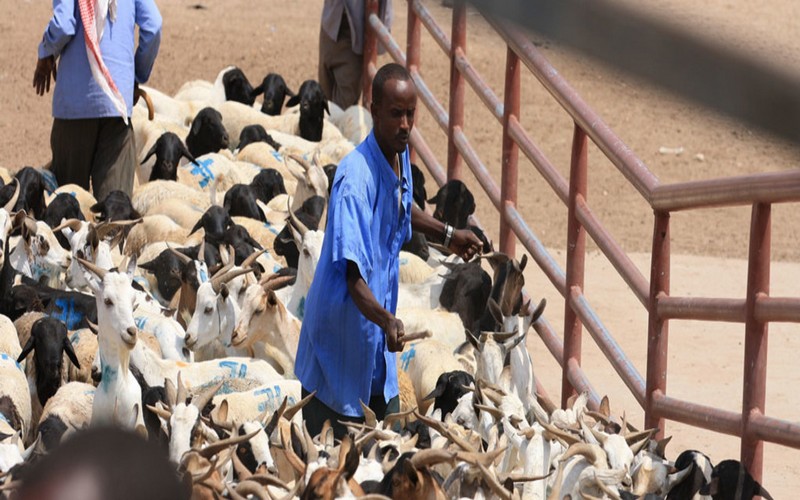 La FAO invite aux interventions précoces pour éviter des urgences humanitaires