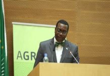 24 milliards $ de la BAD pour révolutionner l’agriculture africaine sur 10 ans