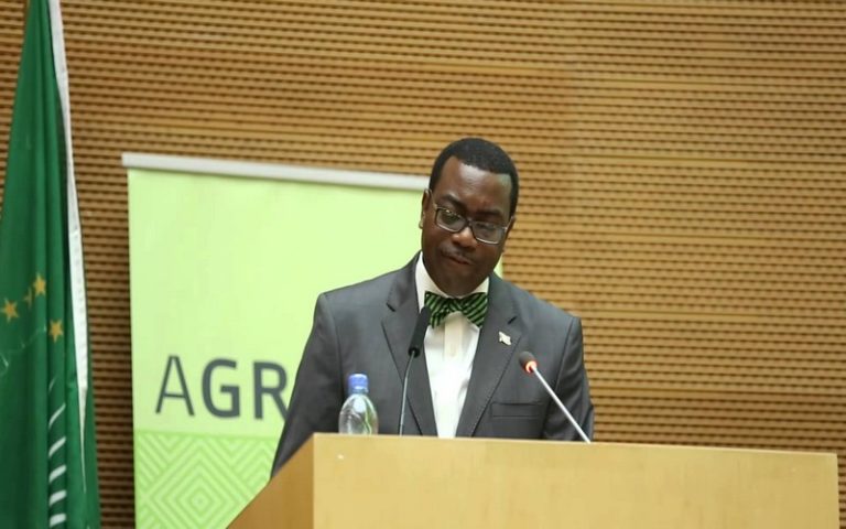 24 milliards $ de la BAD pour révolutionner l’agriculture africaine sur 10 ans