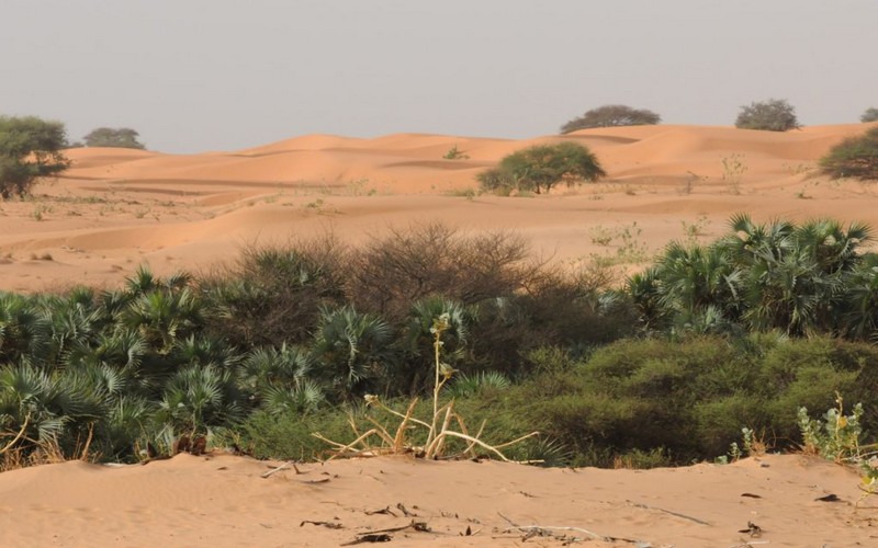 Afrique Climat- GLF Nairobi 2018 : les solutions en Afrique