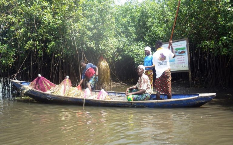 Bénin : l’ONG Eco-Benin sacralise certaines zones de mangrove
