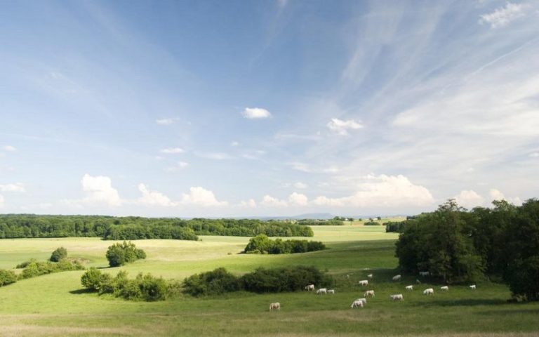 L&rsquo;agriculture digitale : de la charrue au smartphone