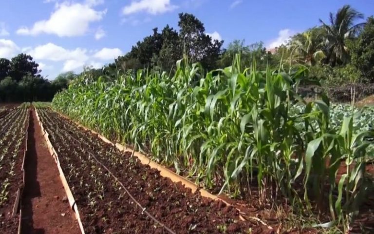 Le Bénin a officiellement validé le Plan agricole du Pôle 5