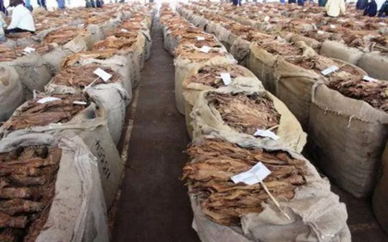 Le Malawi a gagné 285,2 millions $ dans l’exportation du tabac