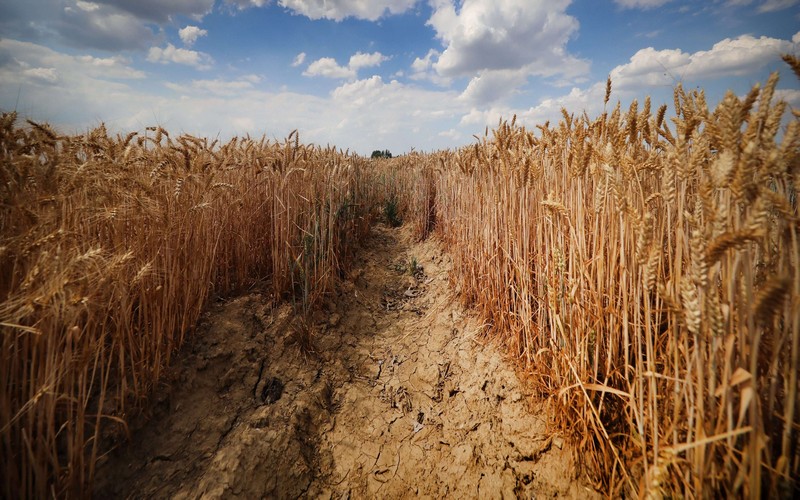 Le réchauffement de la planète de plus en plus inquiétant