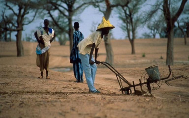 Les agriculteurs sénégalais désemparés par la rareté des pluies