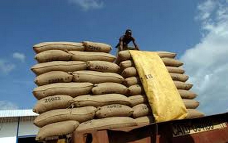 Les exportations africaines sous le diktat du réchauffement climatique