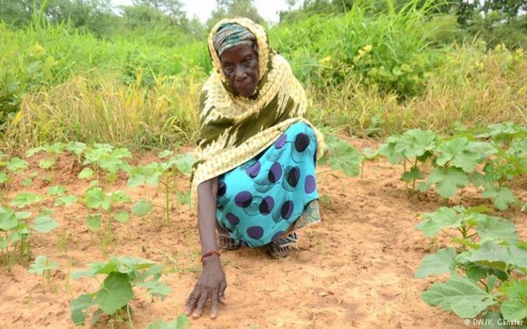 Les populations de Kayes (Mali) sous le diktat de la sécheresse