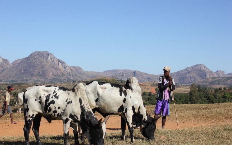 Madagascar : les rideaux de la 20e édition de la FIER Mada sont tombés