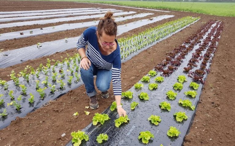Marie Rolland, maraîchère bio : « c’est une fierté de nourrir les gens »