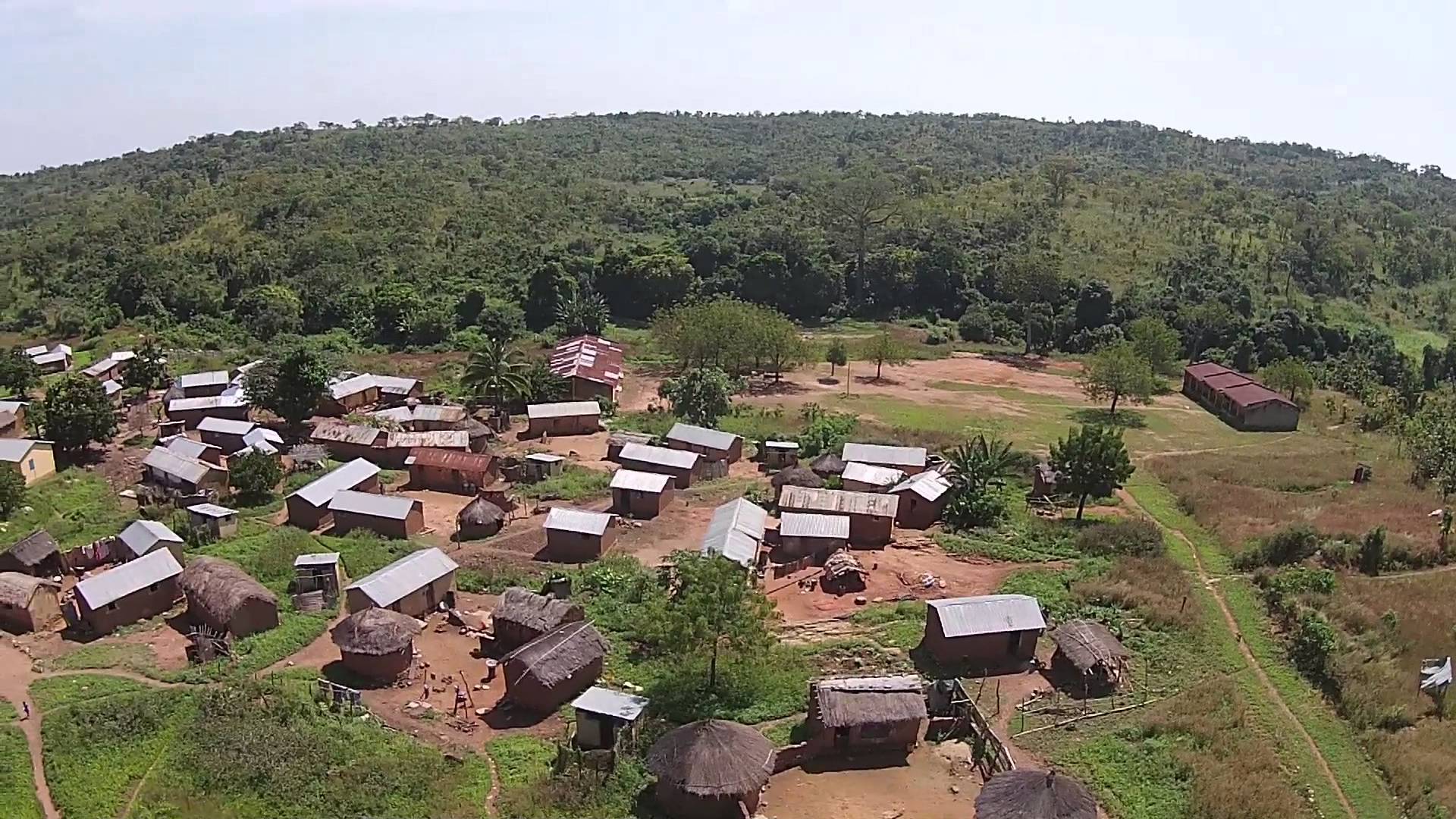 Togo : Les espèces protégées du parc de Fazao sous menace d’extinction