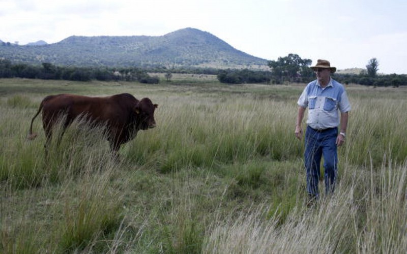 Réforme agraire : le tweet de Trump vivement dénoncé en Afrique du Sud