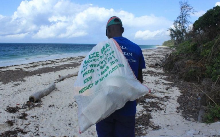 Déchets plastiques : l’association ghanéenne Plastic Punch nettoie la plage de Ningo