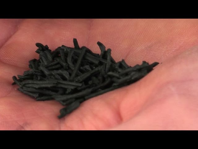 La spiruline, une des solutions contre la malnutrition en Afrique ?