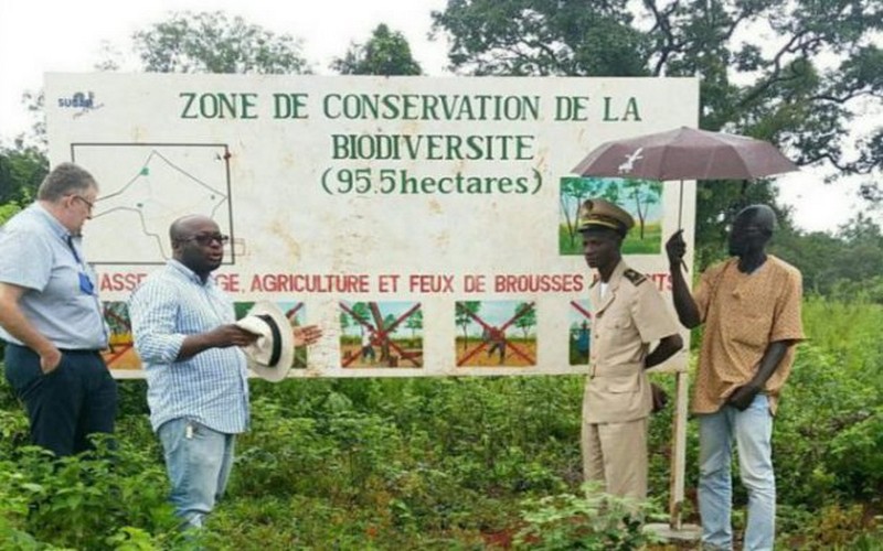 120 hectares de forêts pour endiguer le réchauffement de la planète en Côte d’Ivoire