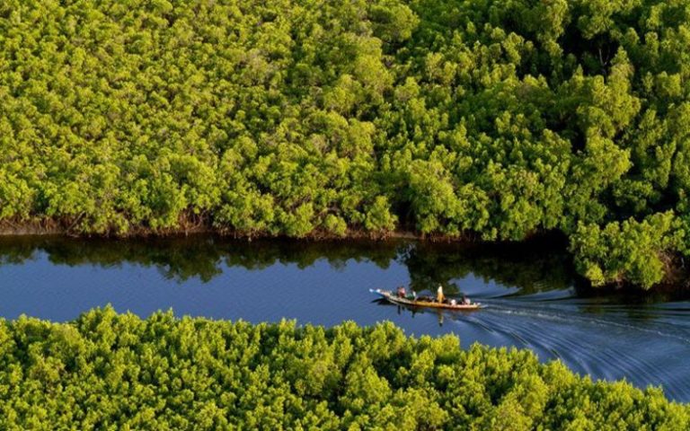 Afrique de l’Ouest : un projet de gestion durable des zones humides lancé au Sénégal