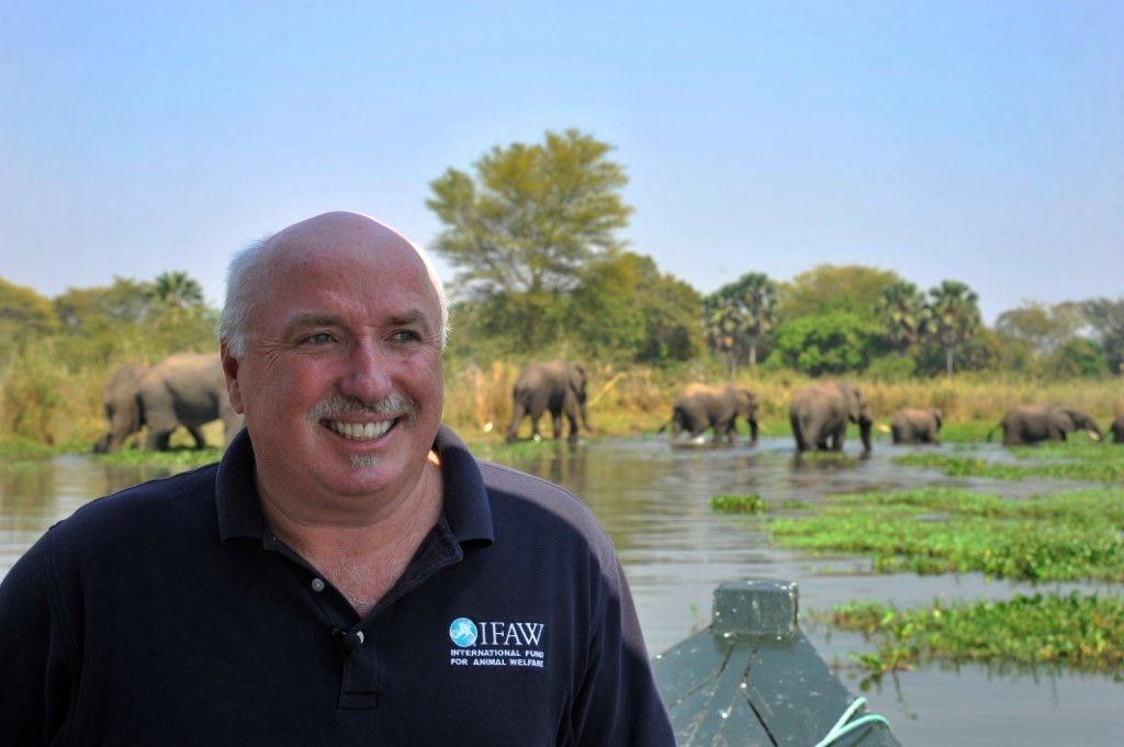 Lutter contre le trafic d’espèces, c’est aussi combattre la corruption