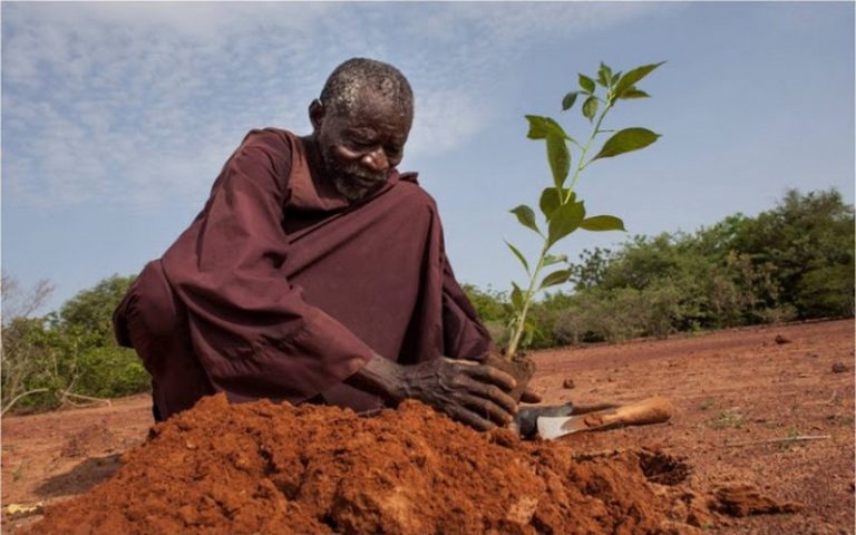 Burkina Faso : Yacouba Sawadogo, lauréat du Prix Nobel Alternatif 2018