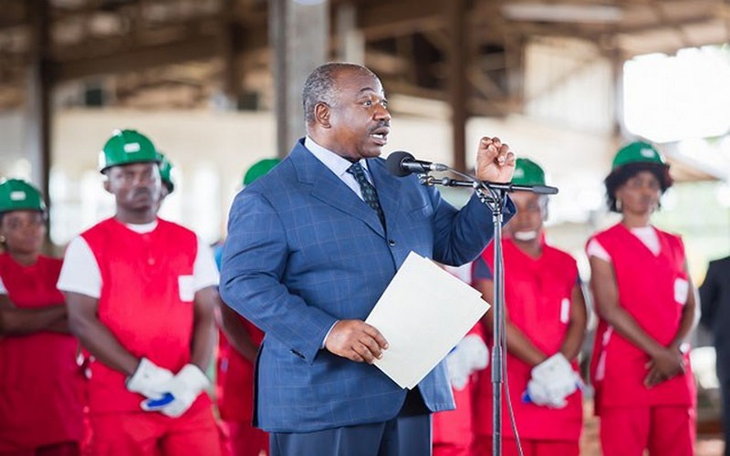 Certification environnementale : le Gabon fixe un ultimatum aux sociétés forestières