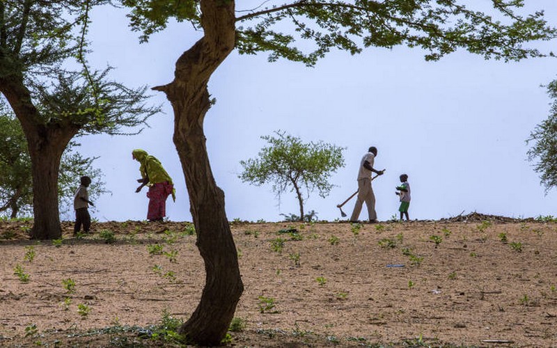 Climat : la FAO mise sur le commerce international pour nourrir la planète