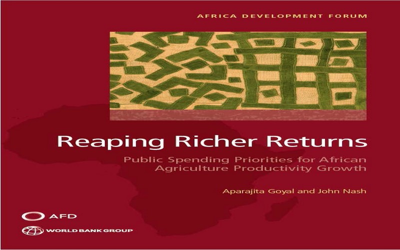 Des dépenses publiques dans le secteur agricole pour plus de rendement en Afrique subsaharienne ?