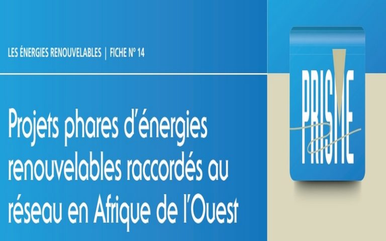 Energies renouvelables : l’ECREEE et de la GIZ au chevet de l’Afrique de l&rsquo;Ouest