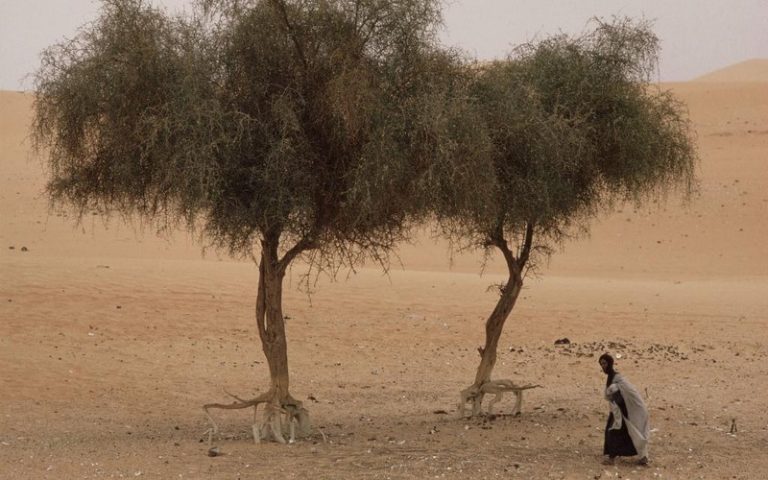 Hausse de la faim dans le monde en trois ans consécutifs