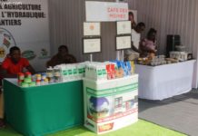 Innovation : les startups israéliennes à la rescousse de l’agriculture africaine