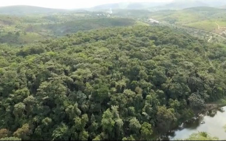 La RDC est le 2ème poumon mondial avec plus de 70% de la forêt équatoriale