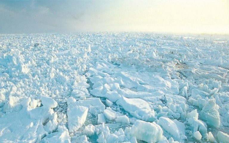 La lutte contre le changement climatique, génératrice de richesses