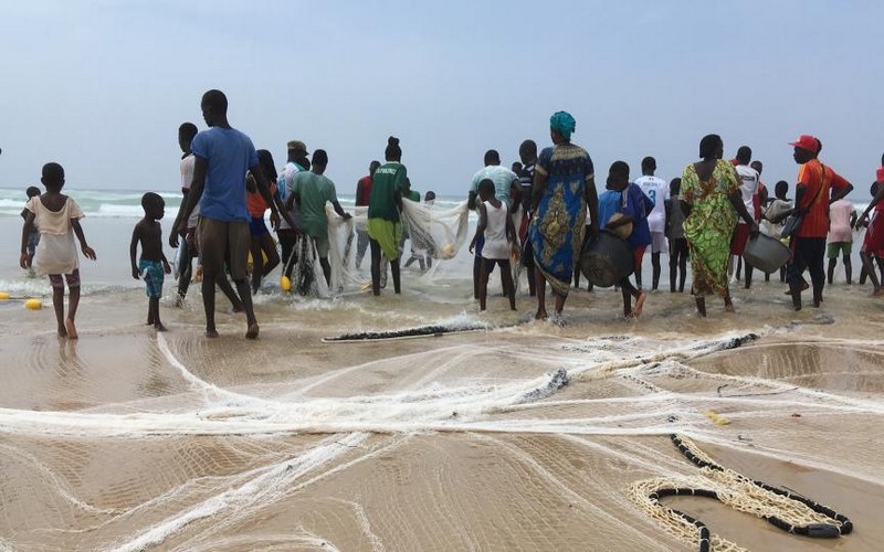 La pénurie de poissons hante le Sénégal