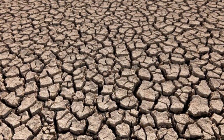 Un forum au Sénégal pour la lutte contre la désertification au Sahel