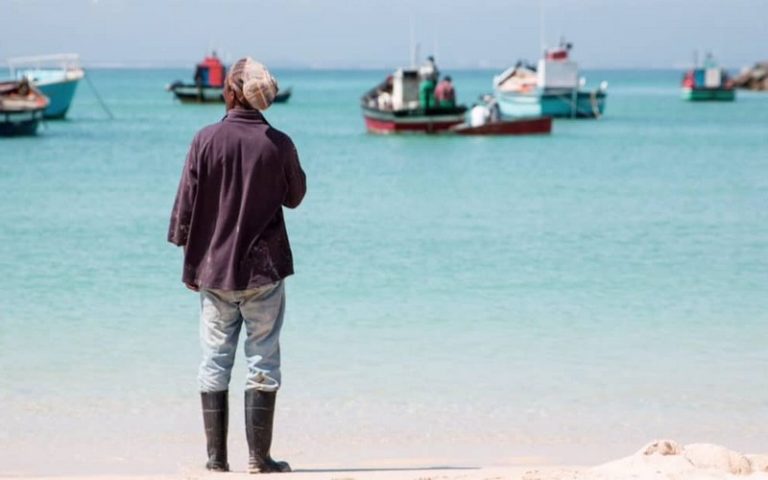 Liaison entre pêcheurs traditionnels et marchés : l’Afrique du Sud mise sur l’application open-source