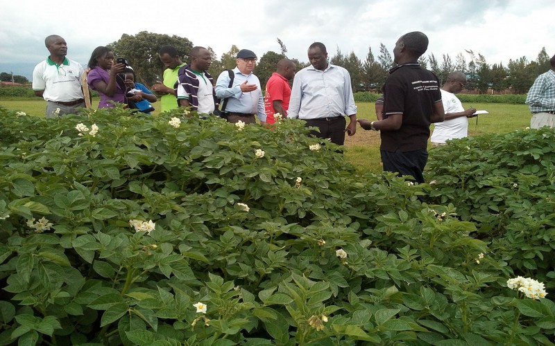 Vers la dynamisation de cinq compagnies agricoles au Rwanda