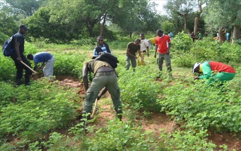 Vers la restauration de 111 millions d’hectares de terres africaines dégradées
