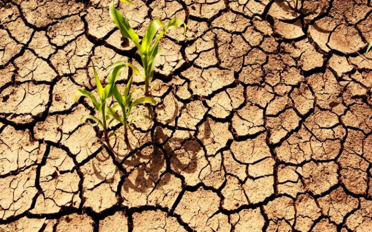 Afrique : le fonds vert pour le climat soutient trois projets, à hauteur de 110 M$