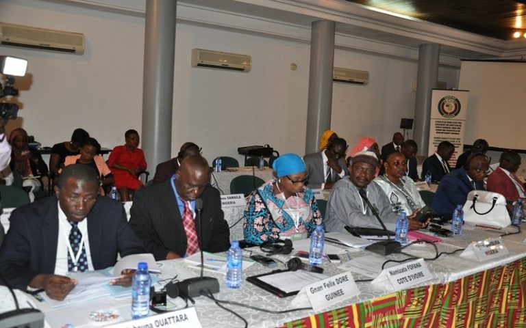 Le G5 Sahel se penche sur le potentiel agricole, animal et halieutique