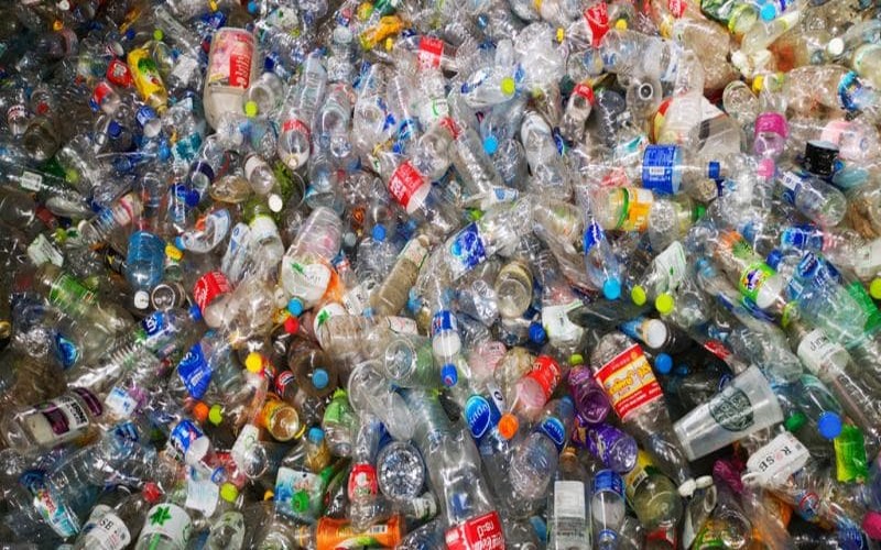 Le crime environnemental néfaste aux économies africaines