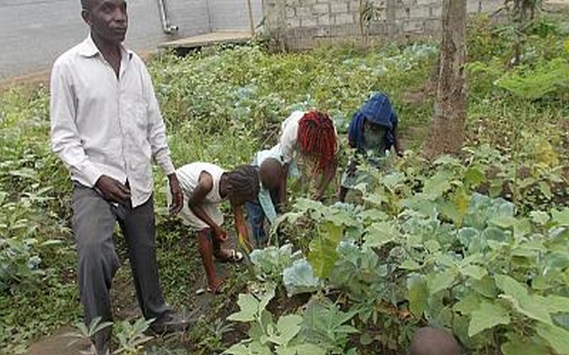 Les enfants du Congo déterminés à relever le défi de leur avenir alimentaire