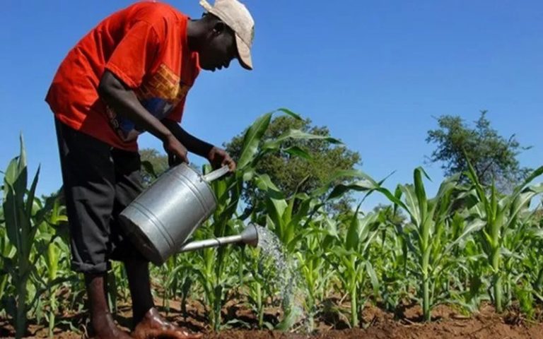 Les experts misent sur l’agriculture pour développer l’Afrique