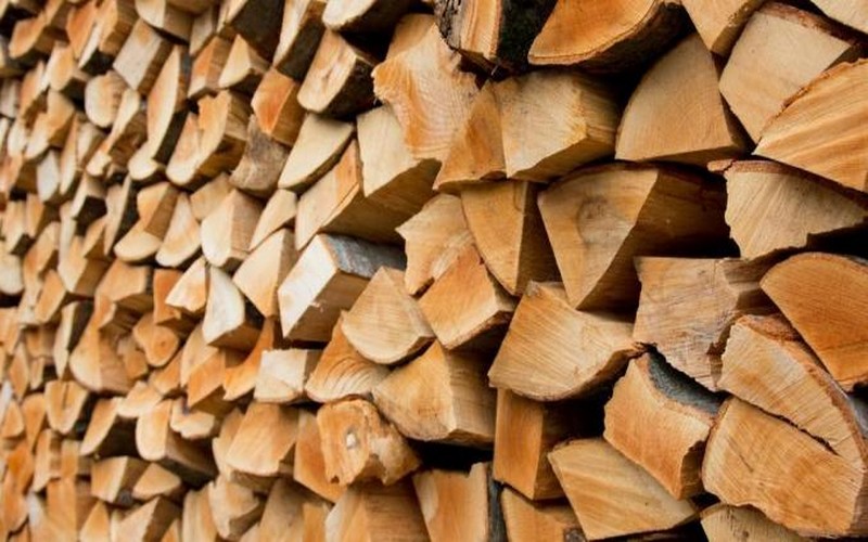 L’exploitation frauduleuse du bois fait perdre au Congo Brazza 12 milliards FCFA