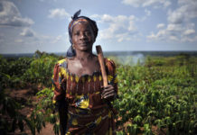 JMA : Une personne sur neuf dans le monde n’a pas de quoi se nourrir