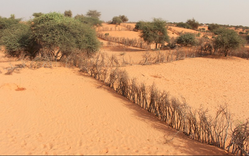 Une de collecte de de fonds au profit du fonds vert pour le climat lancée