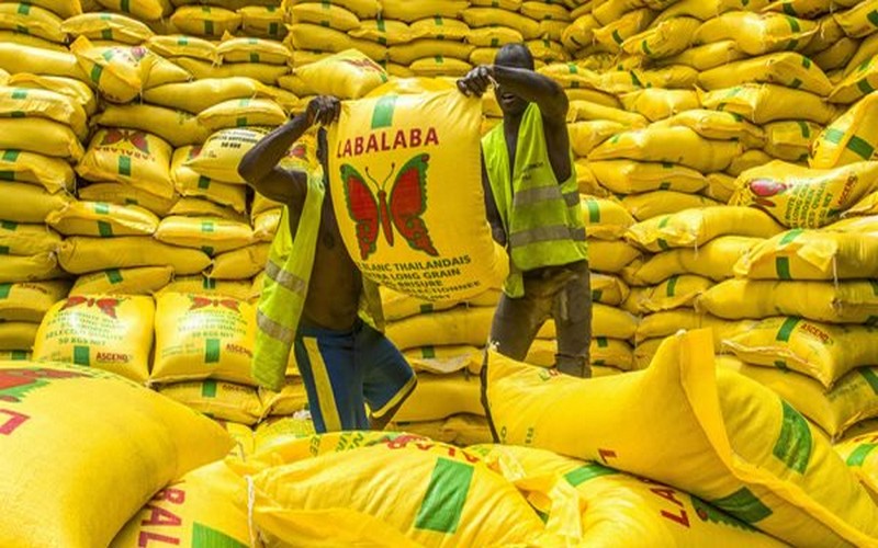 Vers une hausse des importations de riz en Egypte