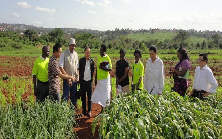 Afrique : La Coopération Sud-Sud en matière d’agriculture, un élément clé pour atteindre l’Objectif Faim Zéro