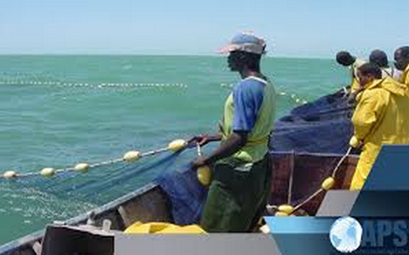 Afrique : les fruits du projet sur la gouvernance de la pêche artisanale